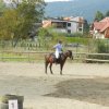 Babie Lato 2016